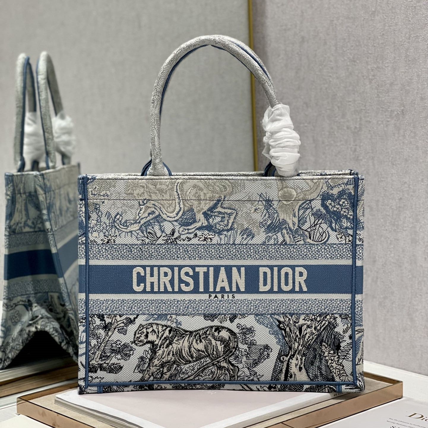 Medium CD Book Tote 36cm Gradient Blue Tiger