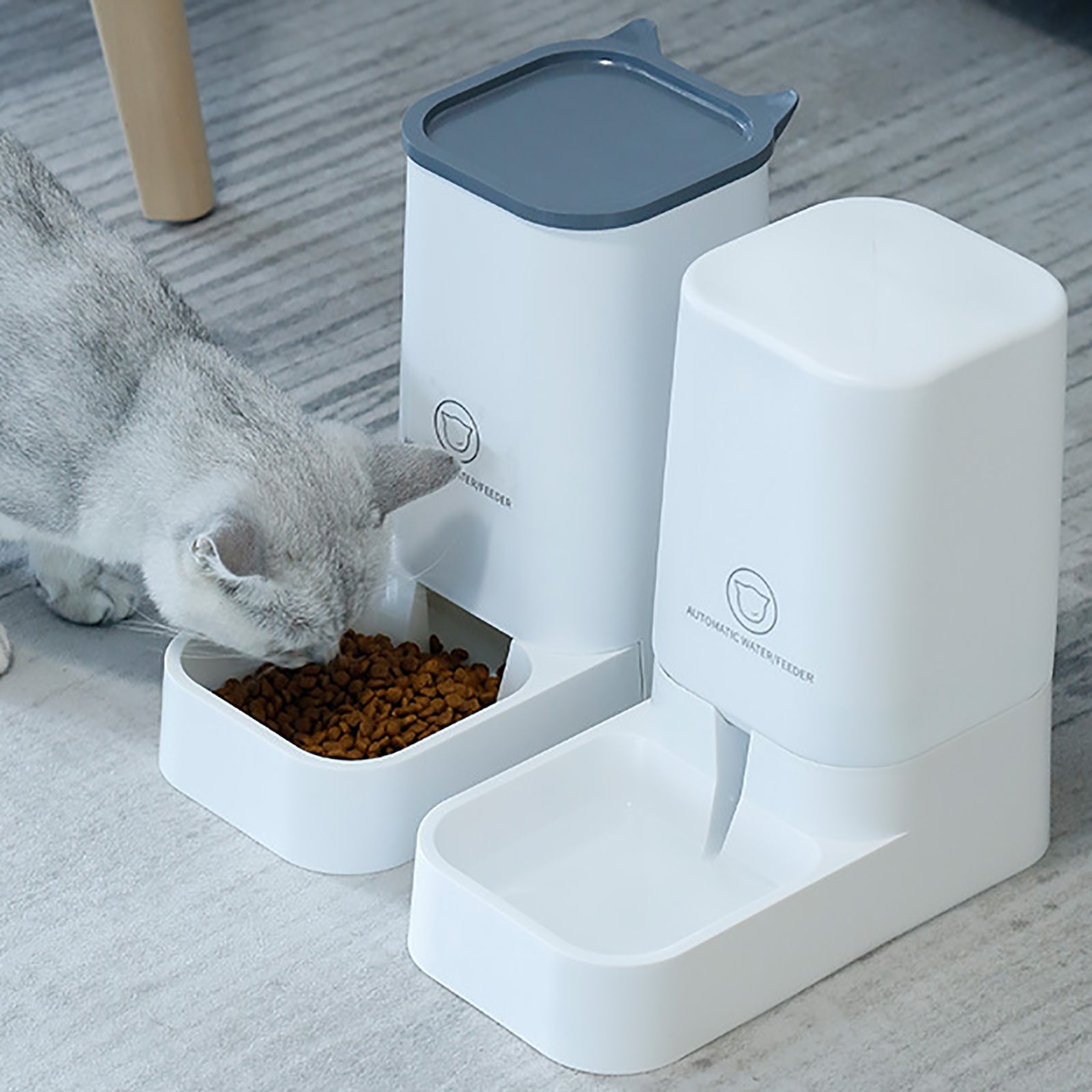 Distributeur croquette & eau grande capacité 3,8L